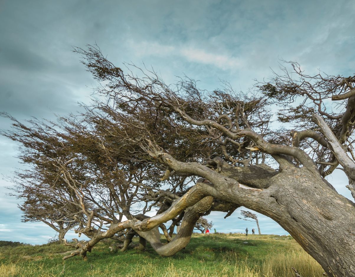 Por un poco de atención