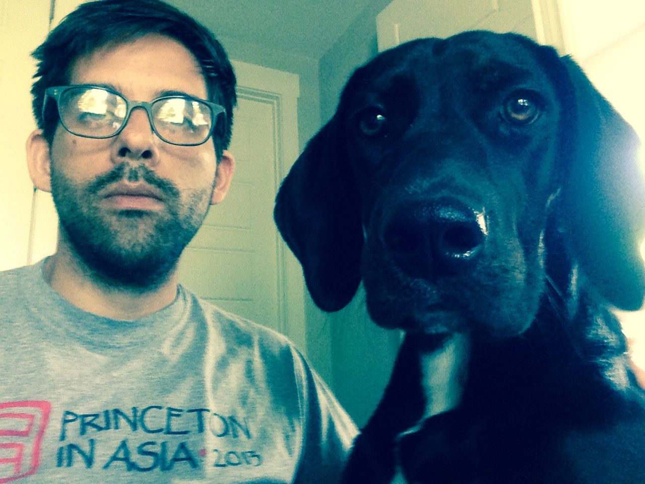 Conejos en dictadura